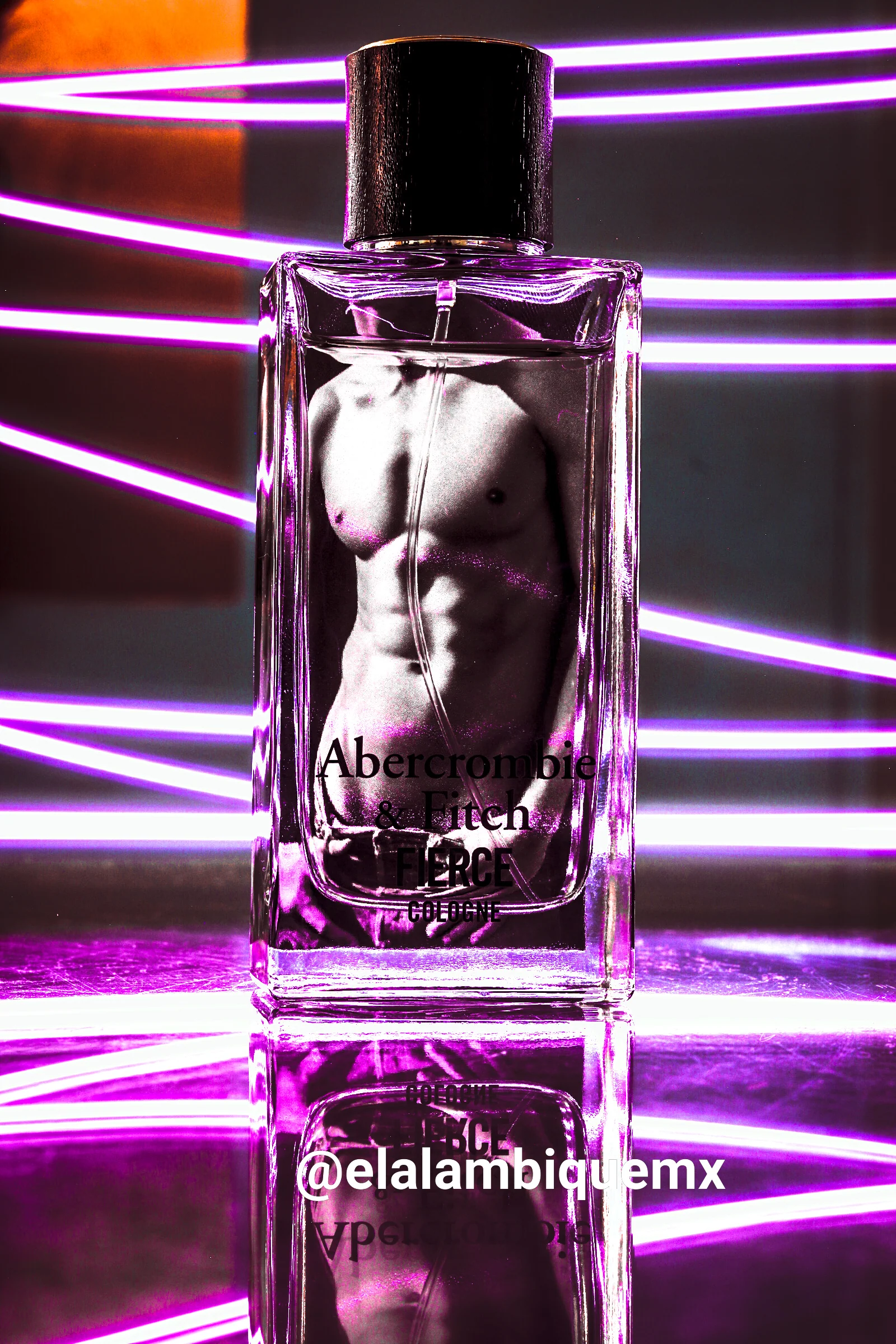 Masculino